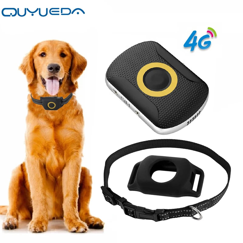 4G GPS Pet Tracker Collar